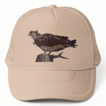 Osprey Bird hats