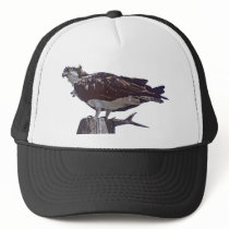 Osprey Bird hats