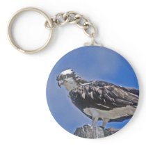 Osprey Bird keychains