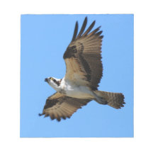 Osprey Bird Notepad