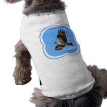 Osprey Bird Pet Shirt