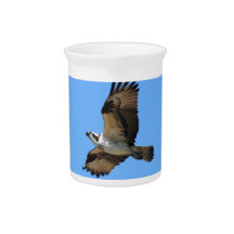 Osprey Bird Pitcher