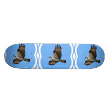 Osprey Bird Skateboard
