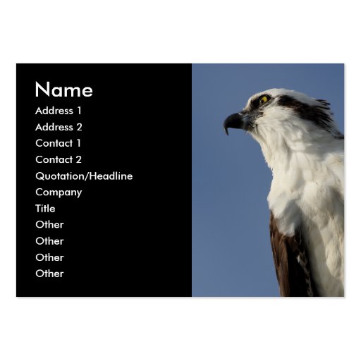 osprey business card