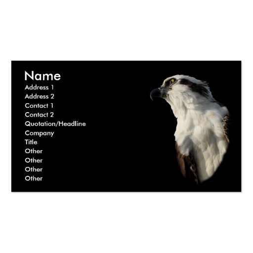 osprey business cards