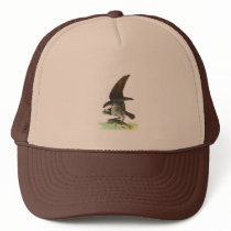 Osprey by John James Audubon hats