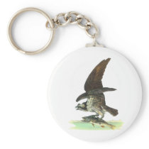 Osprey by John James Audubon Keychain