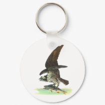 Osprey by John James Audubon keychains by VintagePets Osprey by John James Audubon keychains