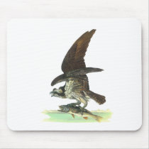 Osprey by John James Audubon mousepads