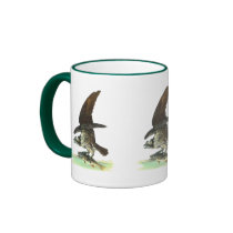 Osprey by John James Audubon mugs