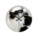 Osprey Clock wall clocks