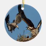 osprey defending nest christmas ornaments