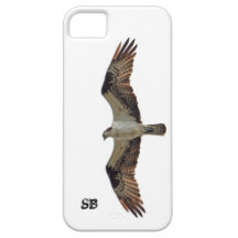 Osprey Flying and Monogram iPhone 5 Cover