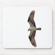 Osprey Flying Photo Mouse Pad