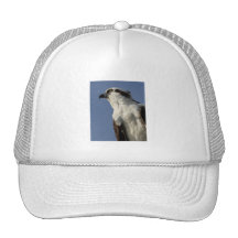 Osprey Hats