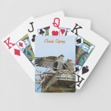 Osprey hawks Bicycle® Playing Cards