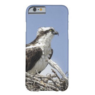 osprey phone case