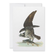 Osprey, John Audubon Personalized Invite