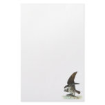 Osprey, John Audubon Custom Stationery