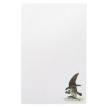 Osprey, John Audubon Custom Stationery