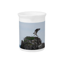 Osprey Landing  Pitcher