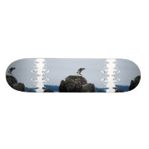 Osprey Landing Skateboard