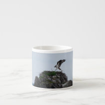 Osprey Landing  Specialty Mug Espresso Cups