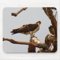 Osprey Mouse Pad mousepads