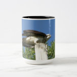 Osprey mugs