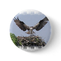 Osprey Nest Button
