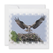 Osprey Nest Invitations