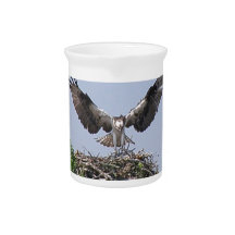 Osprey Nest Pitcher
