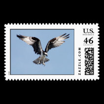 osprey postage