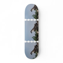Osprey Sitting on a Nest Skateboard