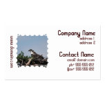 Osprey Sitting on Nest Business Cards