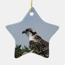 Osprey Sitting on Nest Ornaments
