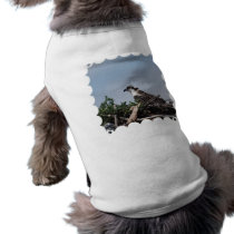 Osprey Sitting on Nest Pet Shirt