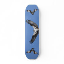 Osprey skateboards