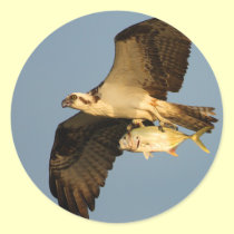osprey stickers