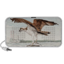 Osprey with Fish Speakers
