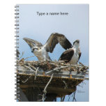 Ospreys Hawks in their nest Notebook