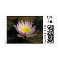 Ostara postage