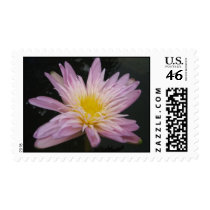 Ostara postage