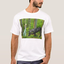 Ostara's Promise t-shirts