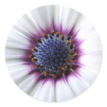 Osteospurmum Sticker by emele1 Osteospurmum Sticker