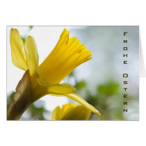 Osterglocke • Osterkarte cards