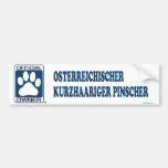 Osterreichischer Kurzhaariger Pinscher Blue Bumper Stickers
