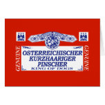 Osterreichischer Kurzhaariger Pinscher Greeting Cards