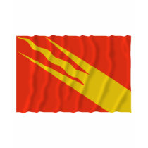 Østfold waving flag t shirt
