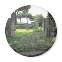 Ostia Antica photo Magnets